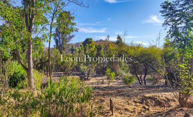 Se vende paño de 17,5 ha. en sector Los Naranjos, Curacavi.