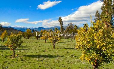 Se vende paño de 17,5 ha. en sector Los Naranjos, Curacavi.