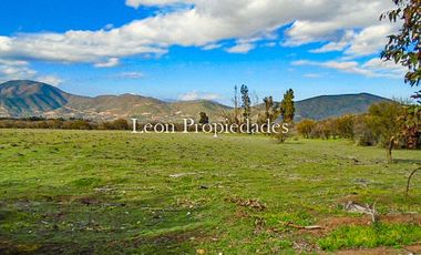 Se vende paño de 17,5 ha. en sector Los Naranjos, Curacavi.