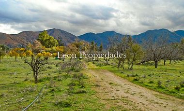 Se vende paño de 17,5 ha. en sector Los Naranjos, Curacavi.