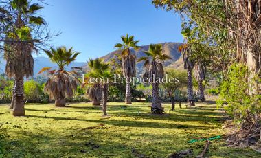 Se vende paño de 17,5 ha. en sector Los Naranjos, Curacavi.