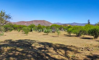 Se vende paño de 17,5 ha. en sector Los Naranjos, Curacavi.
