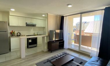 Z O N A S U R . C L  Departamento Arriendo Año Corrido sector Segunda Faja Villarrica