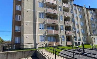 Z O N A S U R . C L  Departamento Arriendo Año Corrido sector Segunda Faja Villarrica