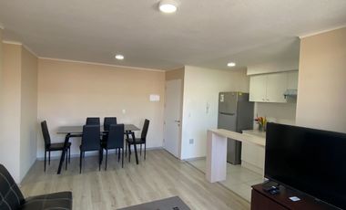 Z O N A S U R . C L  Departamento Arriendo Año Corrido sector Segunda Faja Villarrica
