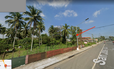 For Sale 3.7 Hectare Agricultural Lot in Batangas