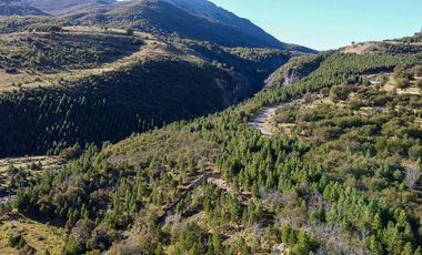 Campo en venta cercano a Coyhaique de 13,5 hectáreas