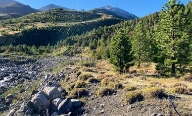 Campo en venta cercano a Coyhaique de 13,5 hectáreas