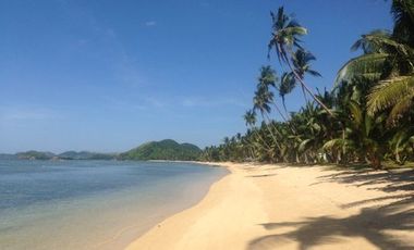 31,000 sqm Beachfront Property  For Sale at Ocamocam Beach, New Busuanga, Busuanga Island, Palawan
