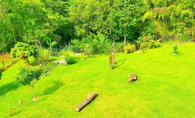 Venta Finca Venecia Antioquia