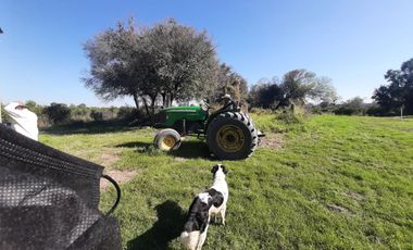 HUERTA DE CITRICOS EN VENTA EN CADEREYTA JIMENEZ NUEVO LEON, SAN JUAN LAS TRANCAS, EN PRODUCCION 90.3919 HAS, DE UN TOTAL DE 110 HAS O MÁS