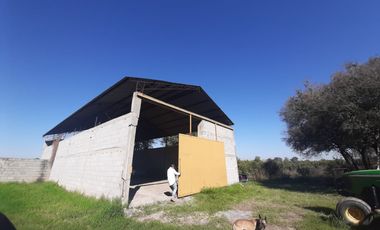 HUERTA DE CITRICOS EN VENTA EN CADEREYTA JIMENEZ NUEVO LEON, SAN JUAN LAS TRANCAS, EN PRODUCCION 90.3919 HAS, DE UN TOTAL DE 110 HAS O MÁS