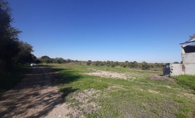 HUERTA DE CITRICOS EN VENTA EN CADEREYTA JIMENEZ NUEVO LEON, SAN JUAN LAS TRANCAS, EN PRODUCCION 90.3919 HAS, DE UN TOTAL DE 110 HAS O MÁS