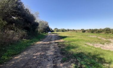 HUERTA DE CITRICOS EN VENTA EN CADEREYTA JIMENEZ NUEVO LEON, SAN JUAN LAS TRANCAS, EN PRODUCCION 90.3919 HAS, DE UN TOTAL DE 110 HAS O MÁS