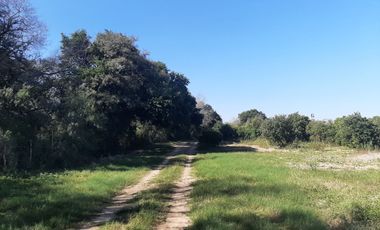 HUERTA DE CITRICOS EN VENTA EN CADEREYTA JIMENEZ NUEVO LEON, SAN JUAN LAS TRANCAS, EN PRODUCCION 90.3919 HAS, DE UN TOTAL DE 110 HAS O MÁS