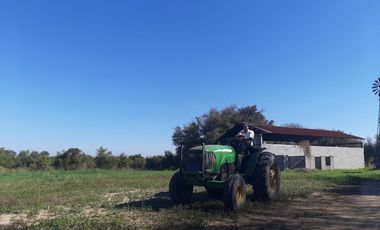 HUERTA DE CITRICOS EN VENTA EN CADEREYTA JIMENEZ NUEVO LEON, SAN JUAN LAS TRANCAS, EN PRODUCCION 90.3919 HAS, DE UN TOTAL DE 110 HAS O MÁS