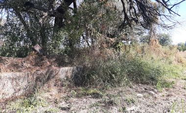 HUERTA DE CITRICOS EN VENTA EN CADEREYTA JIMENEZ NUEVO LEON, SAN JUAN LAS TRANCAS, EN PRODUCCION 90.3919 HAS, DE UN TOTAL DE 110 HAS O MÁS