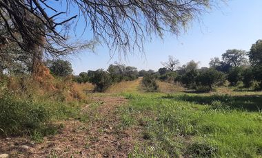 HUERTA DE CITRICOS EN VENTA EN CADEREYTA JIMENEZ NUEVO LEON, SAN JUAN LAS TRANCAS, EN PRODUCCION 90.3919 HAS, DE UN TOTAL DE 110 HAS O MÁS
