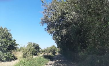 HUERTA DE CITRICOS EN VENTA EN CADEREYTA JIMENEZ NUEVO LEON, SAN JUAN LAS TRANCAS, EN PRODUCCION 90.3919 HAS, DE UN TOTAL DE 110 HAS O MÁS