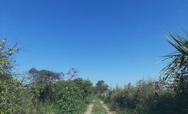 HUERTA DE CITRICOS EN VENTA EN CADEREYTA JIMENEZ NUEVO LEON, SAN JUAN LAS TRANCAS, EN PRODUCCION 90.3919 HAS, DE UN TOTAL DE 110 HAS O MÁS