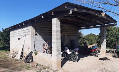 HUERTA DE CITRICOS EN VENTA EN CADEREYTA JIMENEZ NUEVO LEON, SAN JUAN LAS TRANCAS, EN PRODUCCION 90.3919 HAS, DE UN TOTAL DE 110 HAS O MÁS