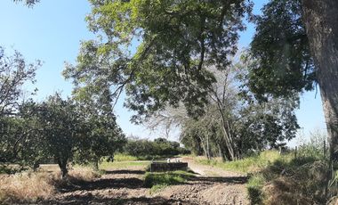 HUERTA DE CITRICOS EN VENTA EN CADEREYTA JIMENEZ NUEVO LEON, SAN JUAN LAS TRANCAS, EN PRODUCCION 90.3919 HAS, DE UN TOTAL DE 110 HAS O MÁS