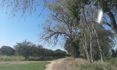 HUERTA DE CITRICOS EN VENTA EN CADEREYTA JIMENEZ NUEVO LEON, SAN JUAN LAS TRANCAS, EN PRODUCCION 90.3919 HAS, DE UN TOTAL DE 110 HAS O MÁS