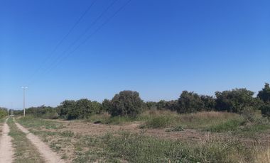 HUERTA DE CITRICOS EN VENTA EN CADEREYTA JIMENEZ NUEVO LEON, SAN JUAN LAS TRANCAS, EN PRODUCCION 90.3919 HAS, DE UN TOTAL DE 110 HAS O MÁS