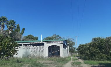 HUERTA DE CITRICOS EN VENTA EN CADEREYTA JIMENEZ NUEVO LEON, SAN JUAN LAS TRANCAS, EN PRODUCCION 90.3919 HAS, DE UN TOTAL DE 110 HAS O MÁS