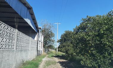 HUERTA DE CITRICOS EN VENTA EN CADEREYTA JIMENEZ NUEVO LEON, SAN JUAN LAS TRANCAS, EN PRODUCCION 90.3919 HAS, DE UN TOTAL DE 110 HAS O MÁS