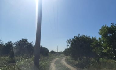 HUERTA DE CITRICOS EN VENTA EN CADEREYTA JIMENEZ NUEVO LEON, SAN JUAN LAS TRANCAS, EN PRODUCCION 90.3919 HAS, DE UN TOTAL DE 110 HAS O MÁS