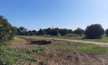 HUERTA DE CITRICOS EN VENTA EN CADEREYTA JIMENEZ NUEVO LEON, SAN JUAN LAS TRANCAS, EN PRODUCCION 90.3919 HAS, DE UN TOTAL DE 110 HAS O MÁS