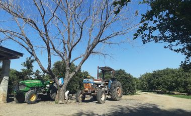 HUERTA DE CITRICOS EN VENTA EN CADEREYTA JIMENEZ NUEVO LEON, SAN JUAN LAS TRANCAS, EN PRODUCCION 90.3919 HAS, DE UN TOTAL DE 110 HAS O MÁS
