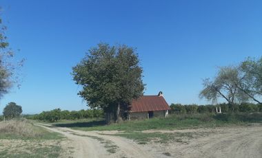 HUERTA DE CITRICOS EN VENTA EN CADEREYTA JIMENEZ NUEVO LEON, SAN JUAN LAS TRANCAS, EN PRODUCCION 90.3919 HAS, DE UN TOTAL DE 110 HAS O MÁS