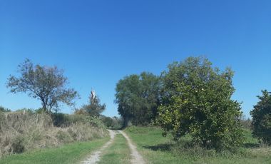 HUERTA DE CITRICOS EN VENTA EN CADEREYTA JIMENEZ NUEVO LEON, SAN JUAN LAS TRANCAS, EN PRODUCCION 90.3919 HAS, DE UN TOTAL DE 110 HAS O MÁS
