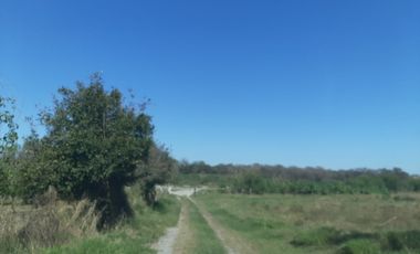 HUERTA DE CITRICOS EN VENTA EN CADEREYTA JIMENEZ NUEVO LEON, SAN JUAN LAS TRANCAS, EN PRODUCCION 90.3919 HAS, DE UN TOTAL DE 110 HAS O MÁS