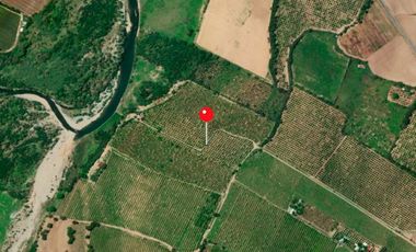 HUERTA DE CITRICOS EN VENTA EN CADEREYTA JIMENEZ NUEVO LEON, SAN JUAN LAS TRANCAS, EN PRODUCCION 90.3919 HAS, DE UN TOTAL DE 110 HAS O MÁS