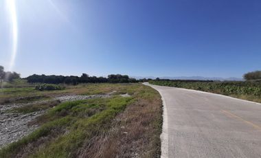 HUERTA DE CITRICOS EN VENTA EN CADEREYTA JIMENEZ NUEVO LEON, SAN JUAN LAS TRANCAS, EN PRODUCCION 90.3919 HAS, DE UN TOTAL DE 110 HAS O MÁS