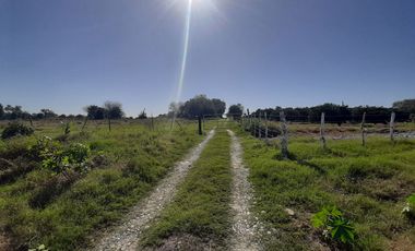HUERTA DE CITRICOS EN VENTA EN CADEREYTA JIMENEZ NUEVO LEON, SAN JUAN LAS TRANCAS, EN PRODUCCION 90.3919 HAS, DE UN TOTAL DE 110 HAS O MÁS