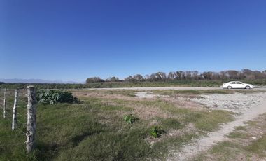 HUERTA DE CITRICOS EN VENTA EN CADEREYTA JIMENEZ NUEVO LEON, SAN JUAN LAS TRANCAS, EN PRODUCCION 90.3919 HAS, DE UN TOTAL DE 110 HAS O MÁS