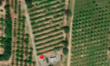 HUERTA DE CITRICOS EN VENTA EN CADEREYTA JIMENEZ NUEVO LEON, SAN JUAN LAS TRANCAS, EN PRODUCCION 90.3919 HAS, DE UN TOTAL DE 110 HAS O MÁS