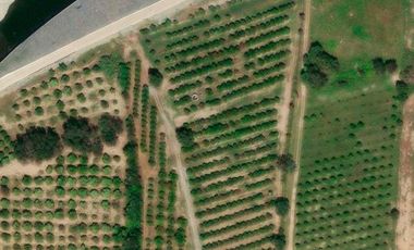 HUERTA DE CITRICOS EN VENTA EN CADEREYTA JIMENEZ NUEVO LEON, SAN JUAN LAS TRANCAS, EN PRODUCCION 90.3919 HAS, DE UN TOTAL DE 110 HAS O MÁS