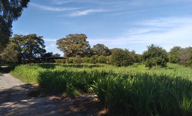 HUERTA DE CITRICOS EN VENTA EN CADEREYTA JIMENEZ NUEVO LEON, SAN JUAN LAS TRANCAS, EN PRODUCCION 90.3919 HAS, DE UN TOTAL DE 110 HAS O MÁS
