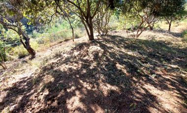 Lote en venta en Tepoztlán Morelos, con facilidad de pago