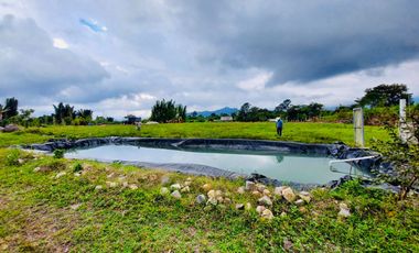 CASA DE CAMPO CON MAS DE UNA HECTAREA DE TERRENO A LAS AFUERAS DE CORDOBA