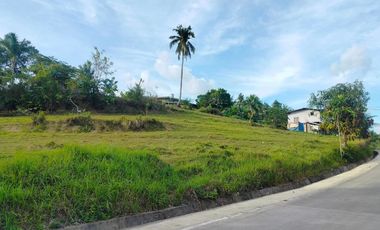 Lot for sale 12,407 sqm clean title highway Aloguinsan Cebu Philippines 500/sqm