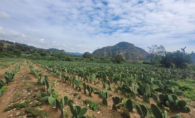 En Venta Predio 3346 m². Tlayacapan, Morelos