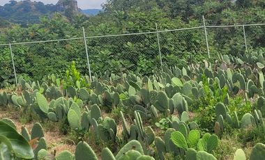 En Venta Predio 3346 m². Tlayacapan, Morelos