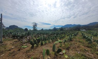 En Venta Predio 3346 m². Tlayacapan, Morelos