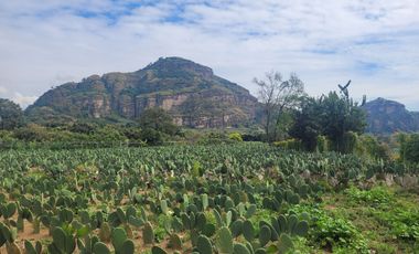 En Venta Predio 3346 m². Tlayacapan, Morelos